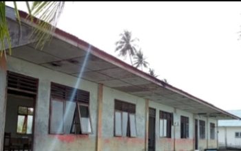Beberapa GTT SD Negeri 078542 Mahang Labara Nias Selatan Keluhkan Nasibnya